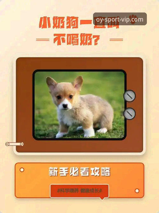 新手必看：资深用户分享欧亿体育官网登录全流程与使用心得